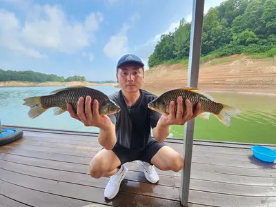 돌감낚시터 붕어조황입니다.