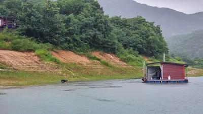 솔낚시터 사짜및 허리급 조황 소식입니다.