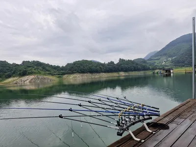 용곡 김기호 낚시터 조황정보 입니다