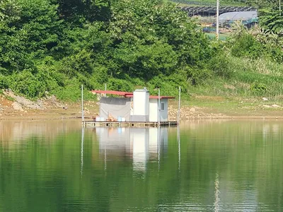 청풍 한버들 조황입니다