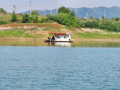 청풍 한버들 허릿급 조황입니다