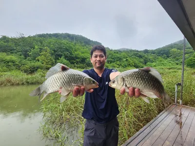돌감낚시터 붕어조황입니다.
