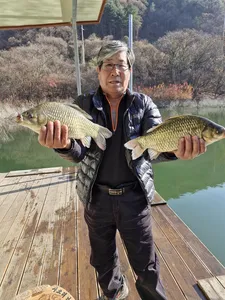 사오리 낚시터 조황정보