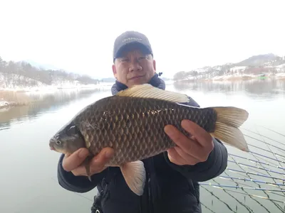 돌감낚시터 붕어조황입니다.