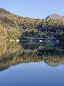 사오리낚시터 조황정보