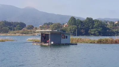 청풍 한버들 허릿급 조황입니다