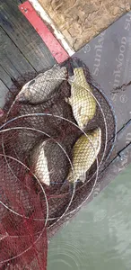 충주호 짱가네낚시터 