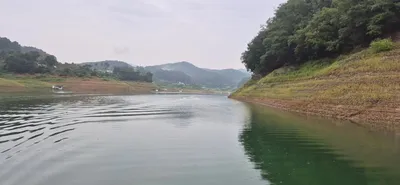 청풍신리낚시터 조황입니다