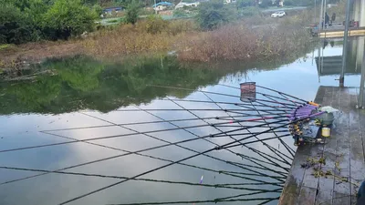 덕곡낚시터 조황정보입니다.