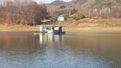 한버들 조황입니다