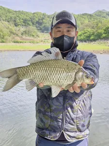 사오리 낚시터 조황정보입니다