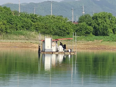 청풍 한버들 조황입니다