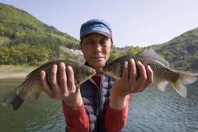 충주호목벌낚시터소식