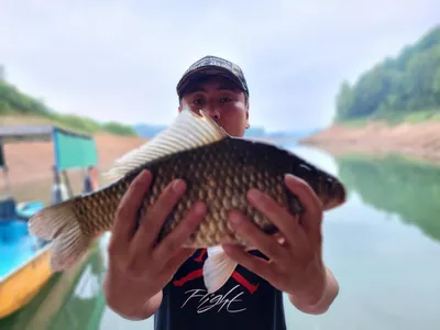 돌감낚시터 4짜 조황입니다.