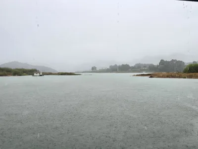 청풍 한버들 조황입니다