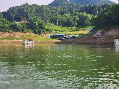 청풍 한버들 허릿급 조황입니다