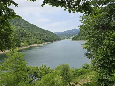 청풍실리곡낚시터 4짜외 허리급 조황입니다.