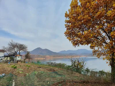 용곡 김기호 낚시터 조황정보 입니다