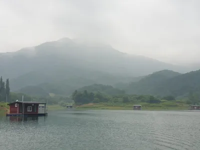 솔낚시터 조황소식 입니다.