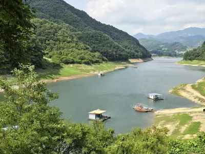 청풍실리곡낚시터 조황입니다.