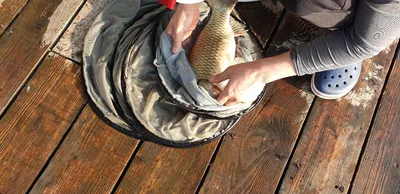 충주호 짱가네낚시터 