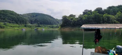 청풍 실리곡낚시터  4짜 조황입니다.