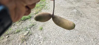 신매낚시터 9월 08일 조황