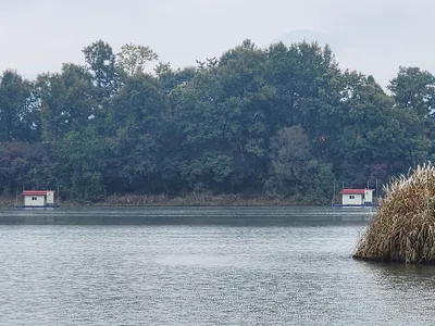 청풍 한버들 허릿급 조황입니다