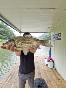 사오리낚시터 조황정보