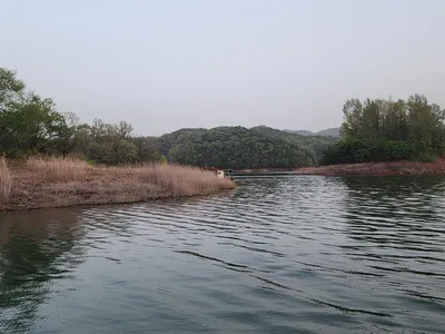 청풍 한버들 조황입니다