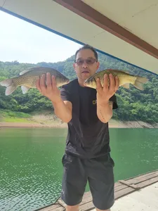 사오리 낚시터 조황정보