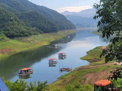 실리곡낚시터  42cm외 4짜3수 조황입니다.
