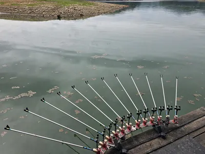 청풍 한버들 조황입니다