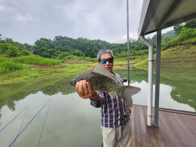 돌감낚시터 붕어조황입니다.