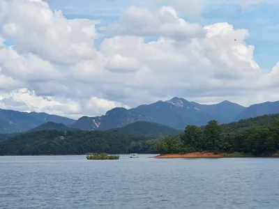 용곡 김기호 낚시터 사짜와 허리급 조황입니다