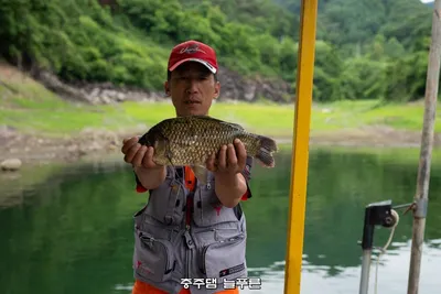 늘푸른 최근 조황입니다