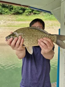 사오리 낚시터 조황정보