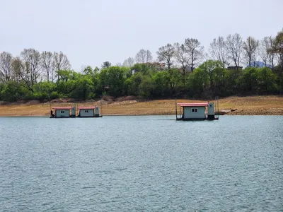 청풍 한버들 허릿급 조황입니다