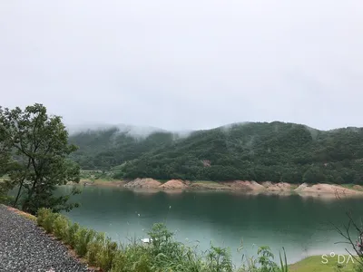 솔낚시터의 아침 조황소식 입니다