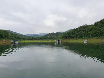 실리곡낚시터 43cm. 허리급 조황입니다.