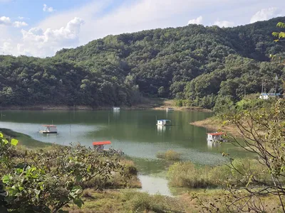 청풍실리곡낚시터 조황입니다.