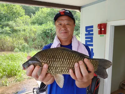 돌감낚시터 4짜 및 붕어조황