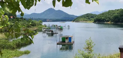 용곡 김기호 낚시터 사짜와 허리급 조황입니다
