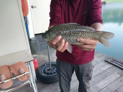 05.20. 김기호 낚시터 조황입니다.