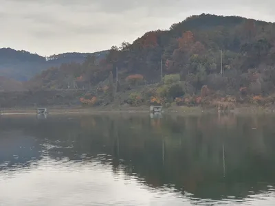 실리곡낚시터 41cm 조황입니다.
