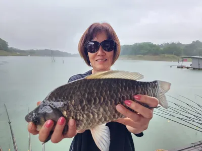 돌감낚시터 4짜 조황입니다.