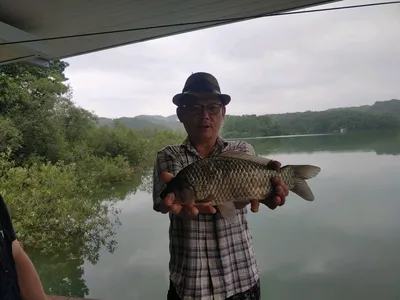 한버들 4짜 포함 허릿급 조황입니다