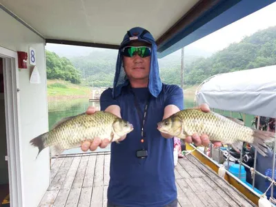 돌감낚시터 조황입니다.