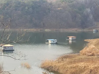 청풍실리곡낚시터 허리급 조황입니다.