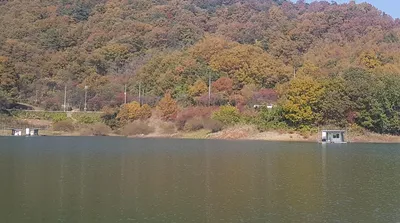 청풍호 한버들 조황입니다